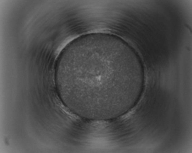 X0000103310830200809261335