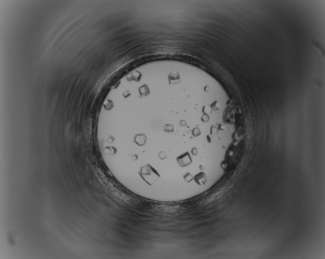 X0000103310831200809261335