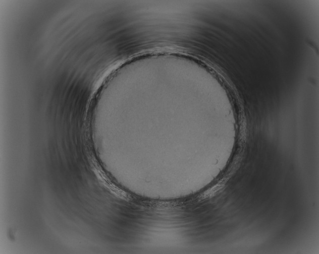 X0000103310832200809261335