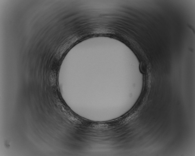 X0000103310833200809261335