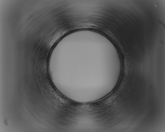 X0000103310834200809261335