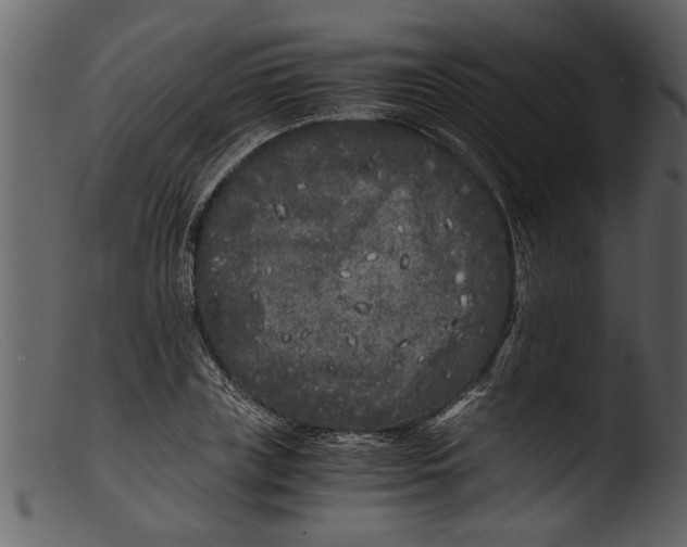 X0000103310835200809261335