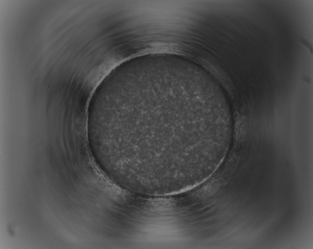 X0000103310836200809261335