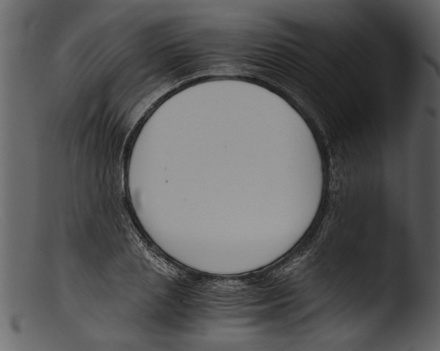 X0000103310837200809261335