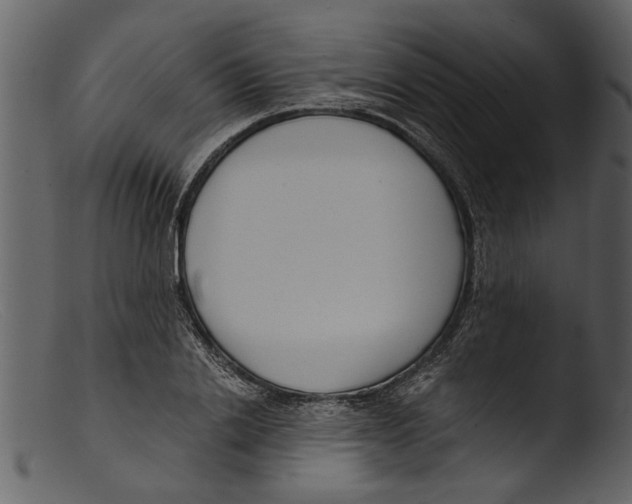 X0000103310838200809261335