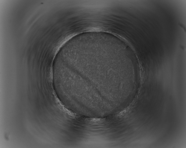 X0000103310839200809261335