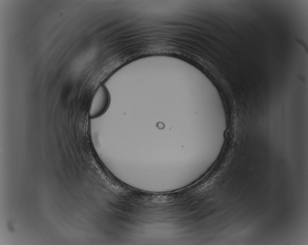 X0000103310841200809261335