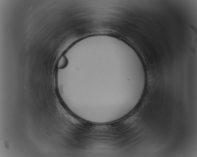 X0000103310843200809261335