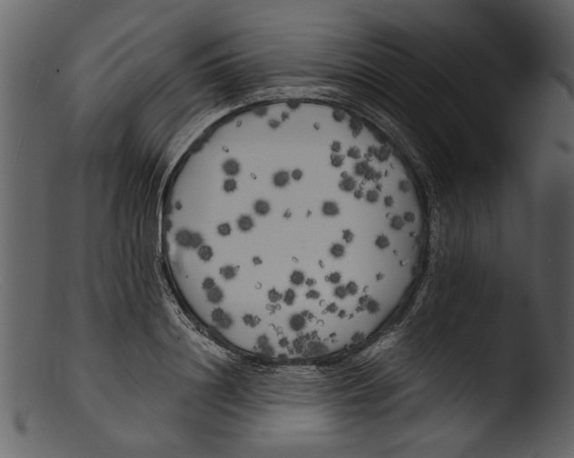 X0000103310844200809261335