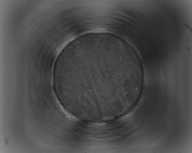 X0000103310845200809261335