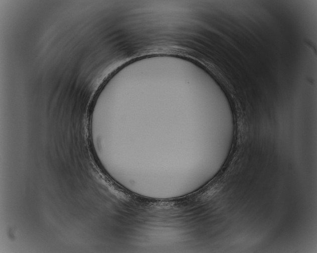 X0000103310846200809261335