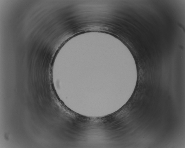 X0000103310848200809261335