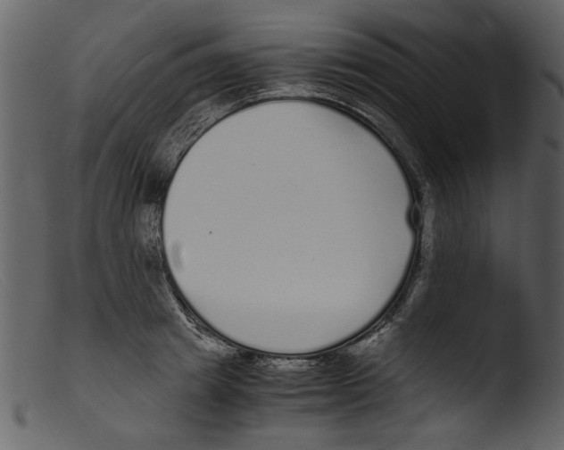 X0000103310849200809261335