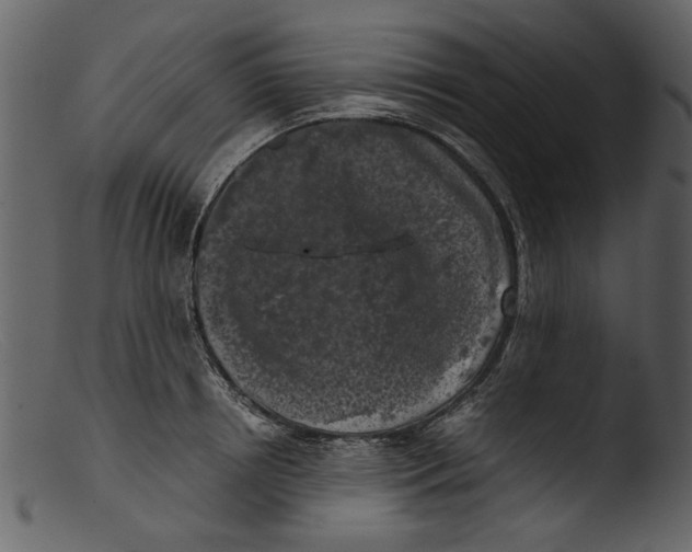 X0000103310850200809261335