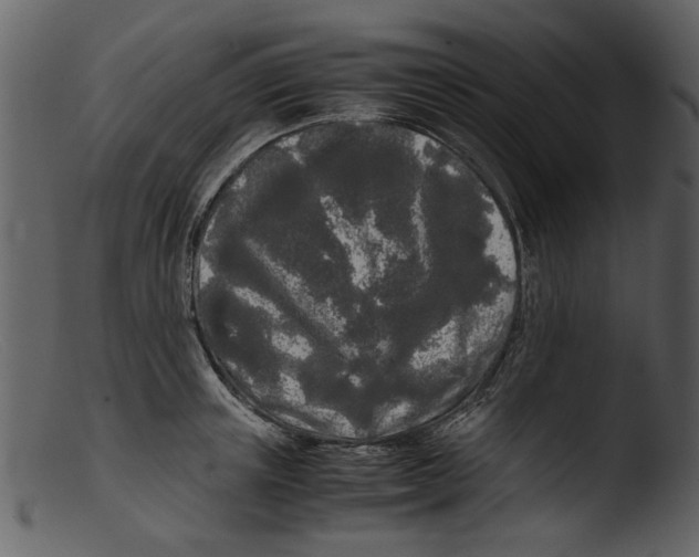 X0000103310851200809261335