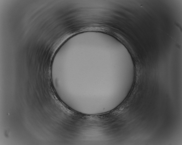 X0000103310852200809261335