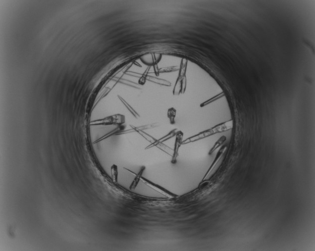 X0000103310853200809261335