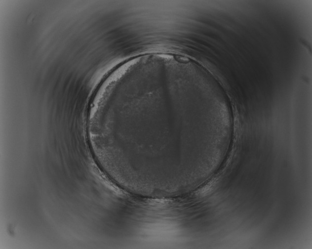 X0000103310854200809261335