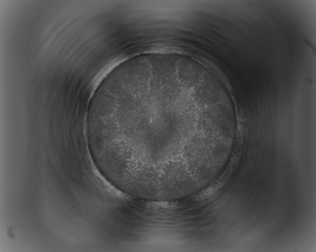 X0000103310855200809261335