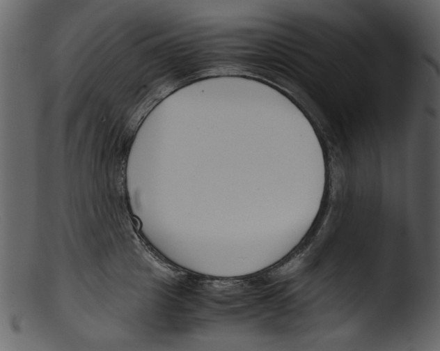 X0000103310857200809261335