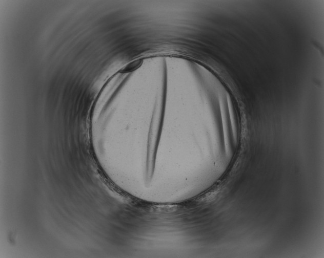 X0000103310858200809261335