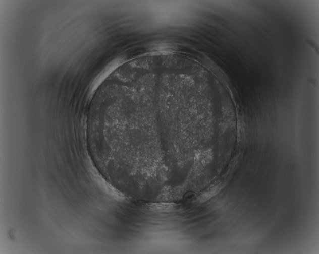 X0000103310859200809261335