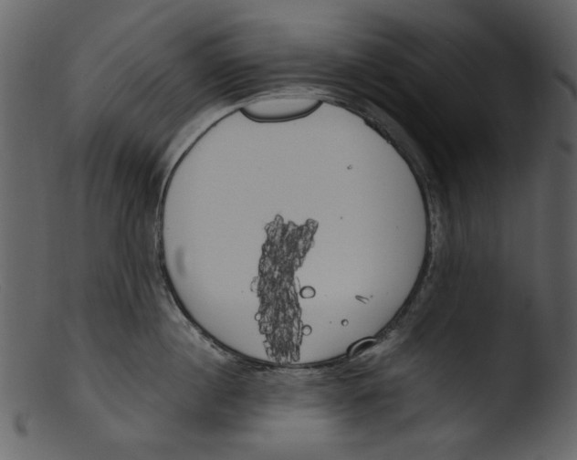 X0000103310860200809261335