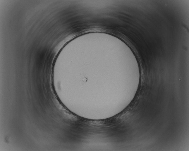 X0000103310861200809261335