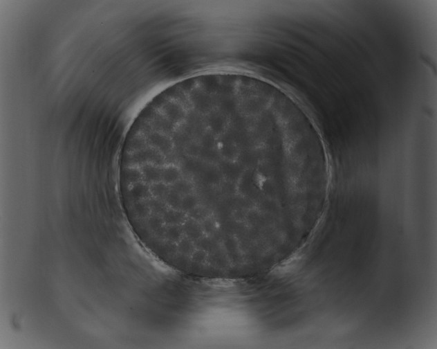 X0000103310862200809261335