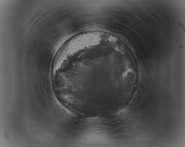 X0000103310863200809261335