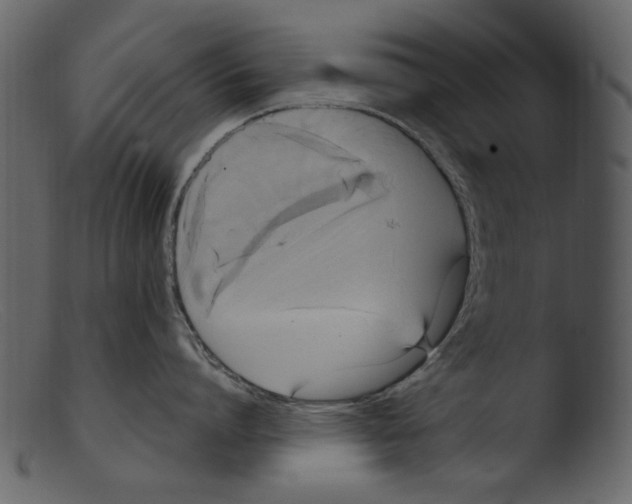 X0000103310864200809261335