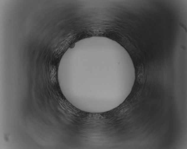 X0000103310866200809261334