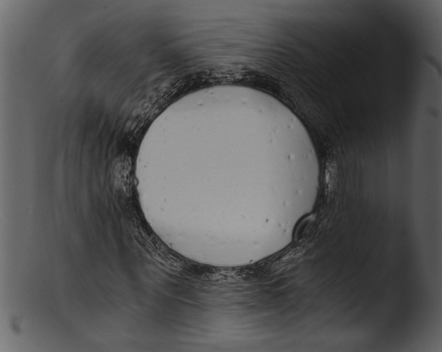 X0000103310867200809261334