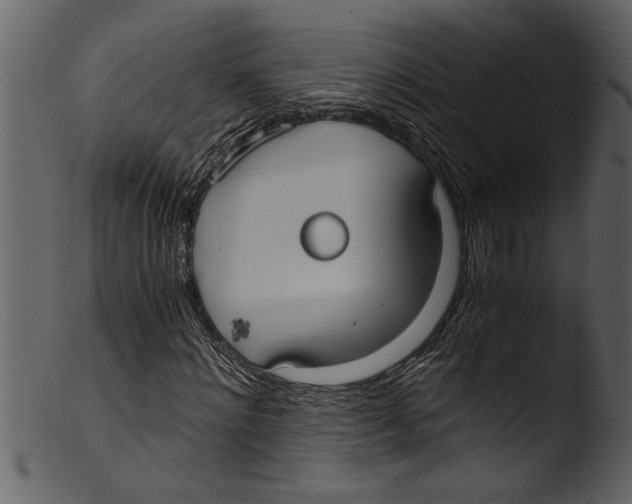 X0000103310868200809261334