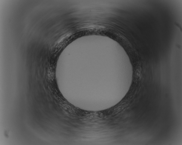 X0000103310869200809261334