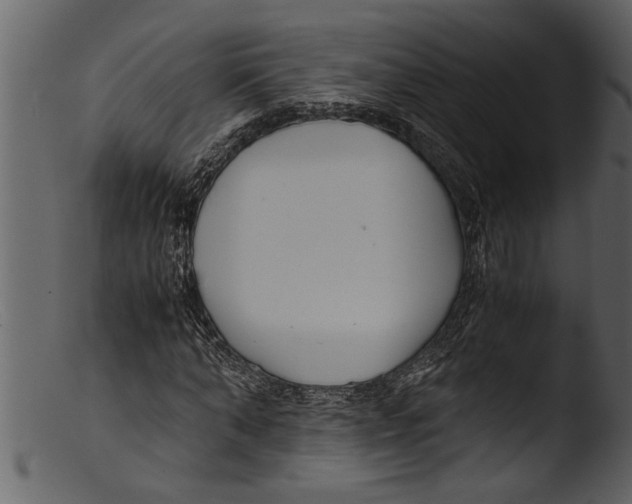 X0000103310870200809261334