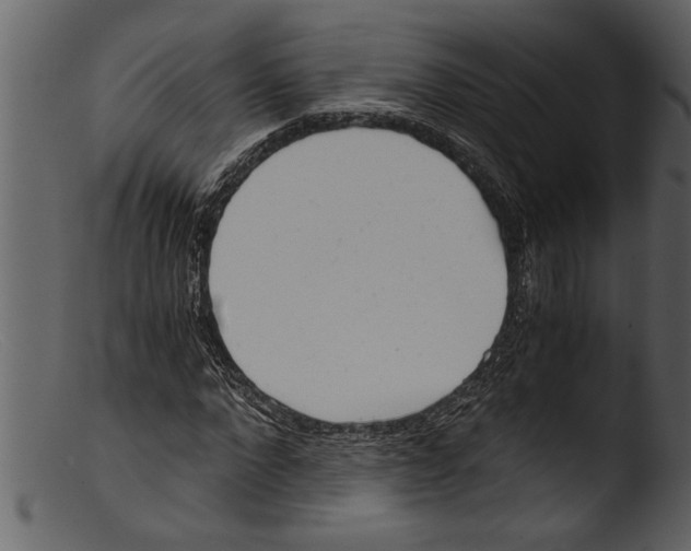 X0000103310872200809261334