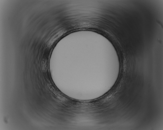 X0000103310873200809261334