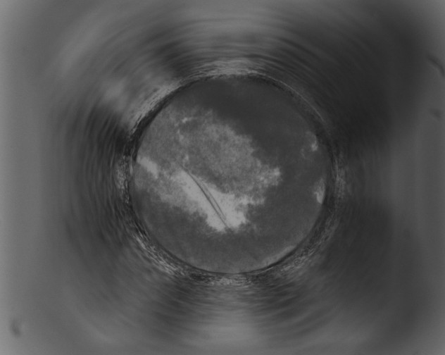 X0000103310874200809261334