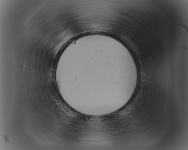 X0000103310875200809261334