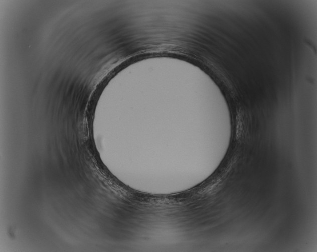 X0000103310876200809261334