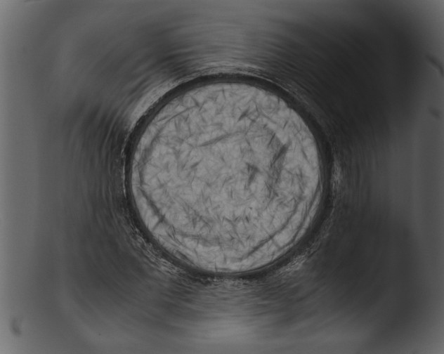 X0000103310877200809261334