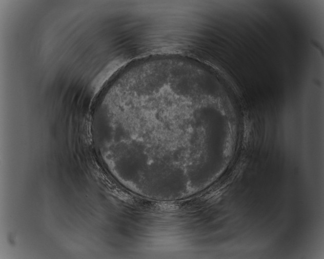 X0000103310878200809261334