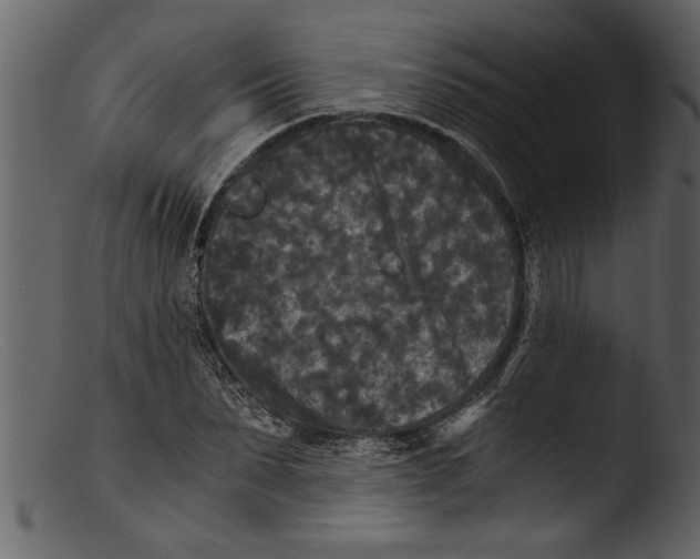 X0000103310879200809261334