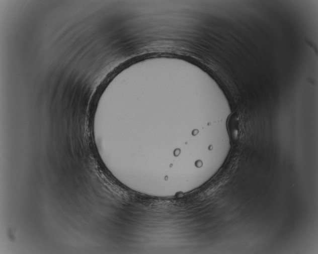 X0000103310880200809261334