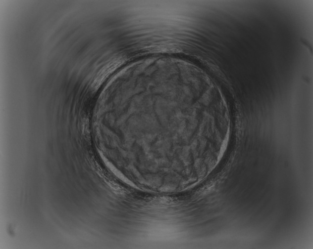 X0000103310881200809261334