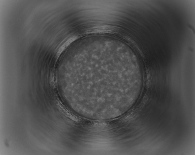 X0000103310882200809261334