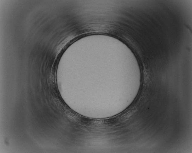 X0000103310883200809261334