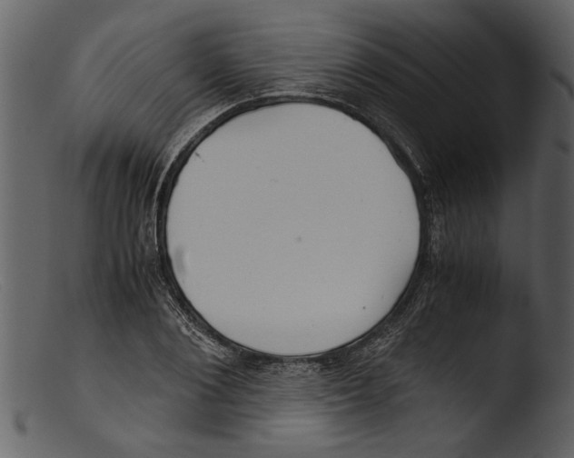 X0000103310884200809261334