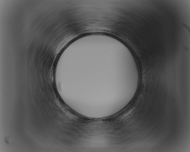 X0000103310885200809261334